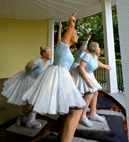Heide Krause