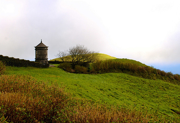 2010 - Kuhtränke auf den Azoren
