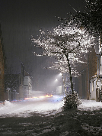 Winter