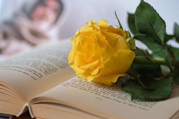 Axel Kramer: Der Name der Rose