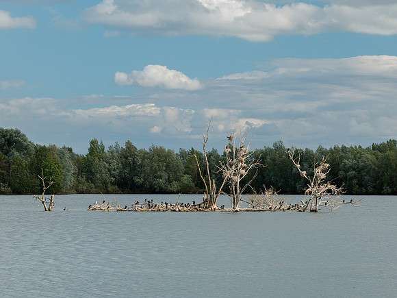 Koldinger Seen