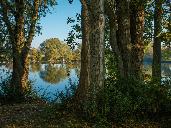 Koldinger Seen