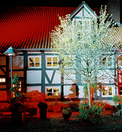 2003 - Springe im Licht
