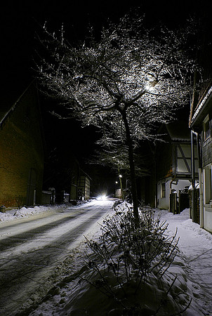Winter